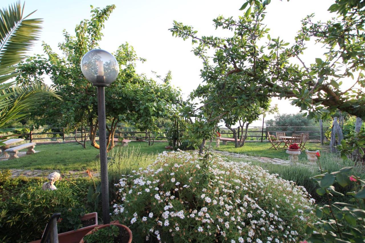 דיאמנטה B&B La Sirenetta מראה חיצוני תמונה